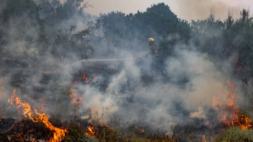 The Netherlands: Major Fire Near Military Training Ground Under Control