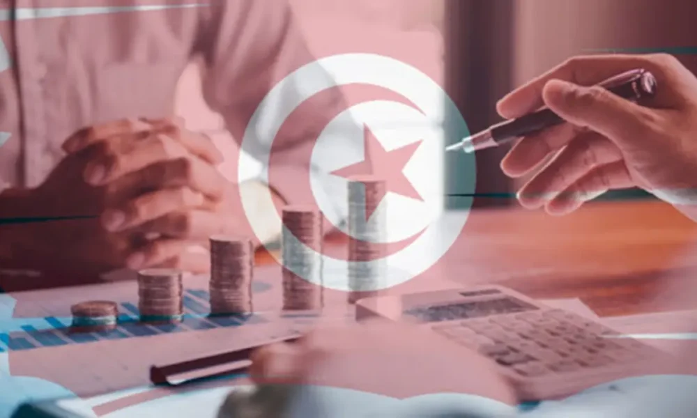 Tunisia: Parliament Adopts Development Plan 2026-2030 (Video)